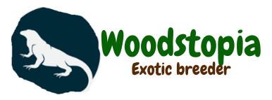 exotics Animals | Woodstopia Kent